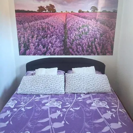 And Lotus Apartman